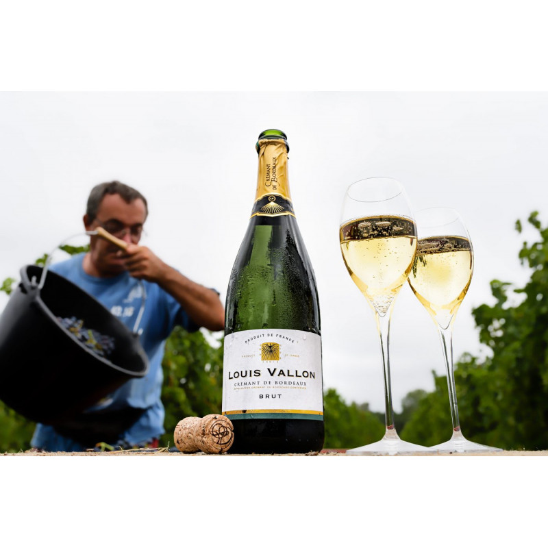 LOUIS VALLON Crémant de Bordeaux Blanc Brut 75 CL Les Chais SaintFrançois LOUIS VALLON Crémant de Bordeaux Blanc Brut 75 CL Les Chais SaintFrançois